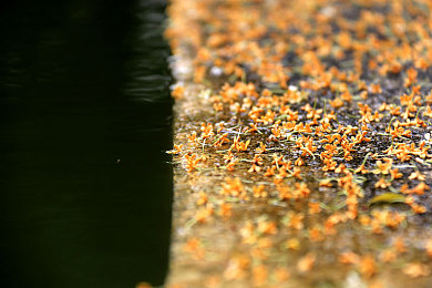 国产淫片AV：华夏极速，先进座驾的虚拟研发与竞速征程-4