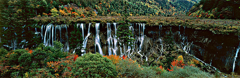 37人文大但艺术份：在速度的间隙，聆听世界的心跳与色彩-2