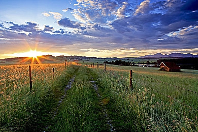 黄色app下载渠道:极限竞速地平线5,金色落日与经典跑车收集攻略-2