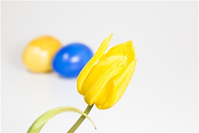 机机对机机免费下载版:钢铁意志与精密齿轮的终极竞速-4