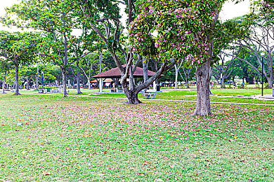 婷婷五月天丁香五月：风驰墨西哥，驶入繁花与自由的虚拟画卷-4