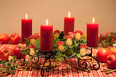 禁止下载十款免费软件:畅玩赛车游戏不踩雷,这份安全指南请收好-4