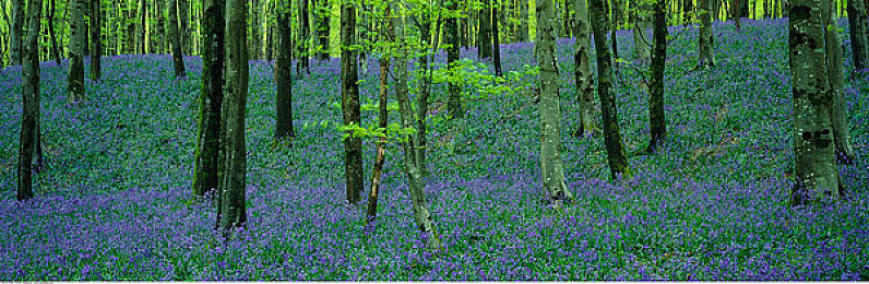 tiktok色板2.4.1.:色彩竞速新纪元,动态赛道与视觉美学的极速融合-4