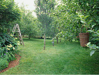 体育生自慰出精  中国：《极速狂飙：精准操控》今日上线，拟真驾驶系统引领竞速新体验-3