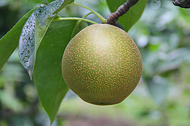 人人插人人射：极速战场，团队竞速与战术射击的终极融合-2