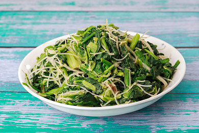 亚洲欧洲精品一区二区三区：全球赛道分区解析，新作竞速游戏深度驾驭指南