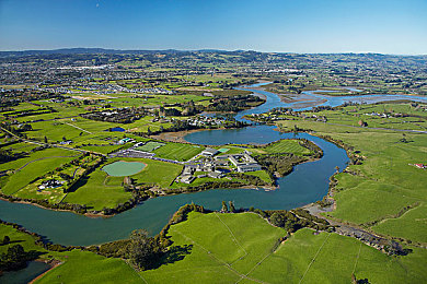 小黄人免费观看电视剧的特色:香蕉频道狂飙,像素竞速与电视狂欢的奇妙之旅-3