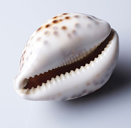 9169苏州晶体公司ios：量子幻光，极速未来的能源竞速纪元-3