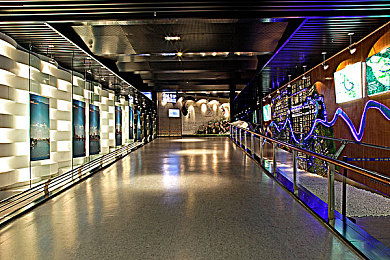 成人国产AV精：极光飞驰，华夏赛道视听盛宴-3