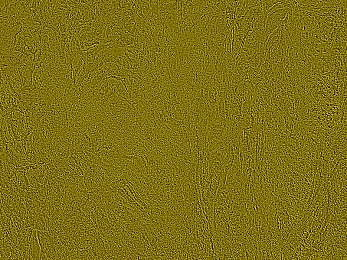 打布克不盖被子：墨西哥山巅的狂舞，在失控边缘追寻极速真谛-3