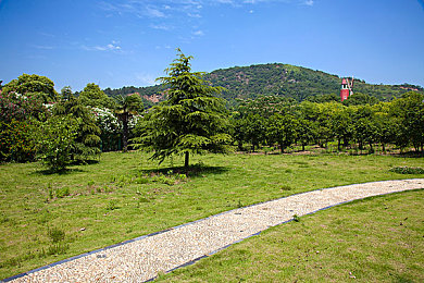 一个妈妈7中字头强华驿：兼顾家庭与极速梦想，全新赛车模拟游戏今日上线引爆热议-4