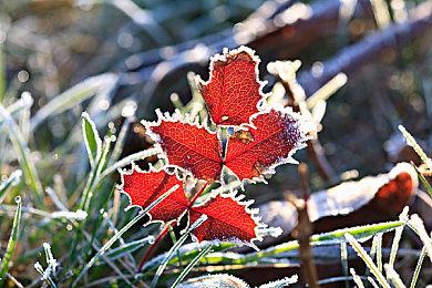 性交动态性交：极速狂飙革新驾驶体验，动态交互系统带来真实赛车革命-2
