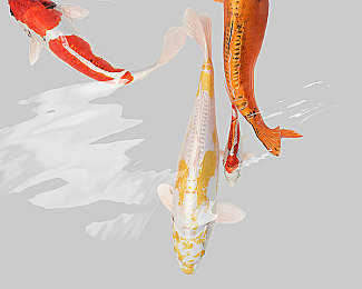 按摩师玩弄贵妇69Spa：竞速新作颠覆想象，特工伪装引爆霓虹都市狂飙热潮-3