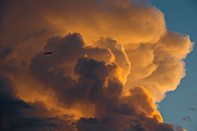 肛交网站：黑客与极速融合，揭秘虚拟赛车世界的犯罪狂飙