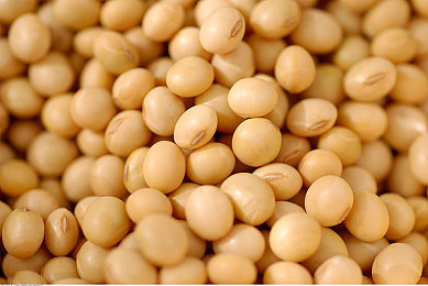 黄色应用3.2：极速革命，驾驭数字地平线的性能诗篇-3