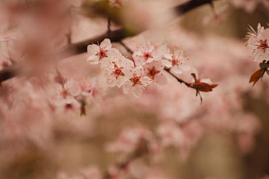 吃瓜黑料：赛车游戏背后的秘密，这些内幕你了解吗-4