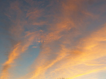 17c吃瓜：极速赛道，情报暗战，监听与飞驰的双重博弈-2