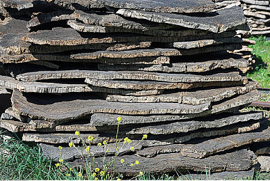 抖音91：赛车游戏速通热潮席卷短视频，极致挑战如何重塑玩家体验-3