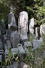 XDEVIOS官方免费版安装：街头狂飙新纪元，自由改装征服开放世界-2