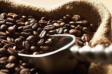 乌克兰年轻人摘花破除的现象：在虚拟花海中疾驰，用速度收集心灵的宁静时刻-2