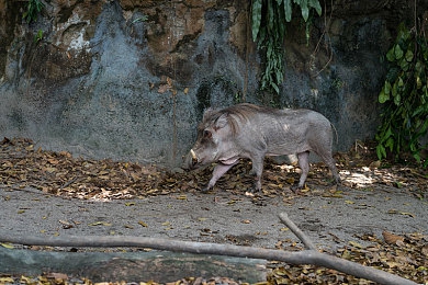 18岁以下禁下软件：成人向赛车游戏引热议，深度机制设计考验玩家价值观与抉择-4