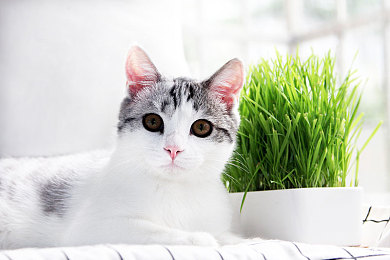 迪丽热巴被操爆:驾驭狂野机械,每一次失控都是与赛车的深度对话-1