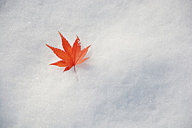 火辣导航app：未来都市竞速新作上线，动态导航颠覆传统赛车体验-4