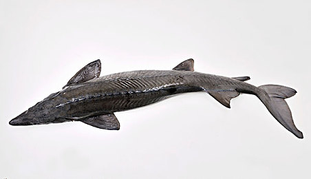 one一个成年的世界一个就够了老杀：末日驾驶生存新作上线，三大法则助你平衡废土自由与残酷现实-2