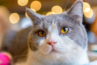 不知火和三个男孩猜数字答案：日式解谜新作上线，开启脑力竞技的沉浸之旅-3