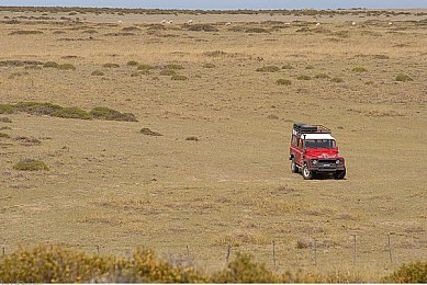 91黑料搬：极速档案，暗影赛道中的秘密竞逐-4