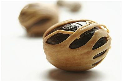 操人app：极速狂飙，改装你的虚拟车神之路，体验真实赛道激情-3