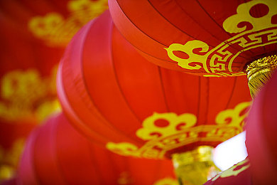 罗宾帮助乔巴排毒素第一部:海贼极速净化,双侠共赴解毒征途-2