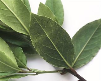 又疼又叫的打扑克：《极限竞速：扑克牌局》正式上线，双轨制玩法颠覆竞速游戏体验-2