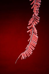 男生把困在女生困困里：双车共生共舞，以困境为桥共驭赛道风云-3