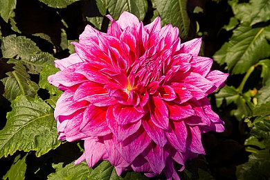 男人和女人靠逼软件:极速搭档性别竞速上线,逼近极限的驾驶辅助系统颠覆对决体验-3