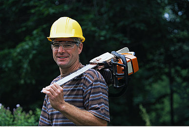 天堂8a 在线中文：开放世界竞速新作今日上线，全球玩家共赴虚拟驾驶盛宴-2