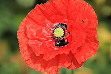 国产av福利：国产拟真驾驶新作发布，极致体验与超跑收藏引爆玩家热情