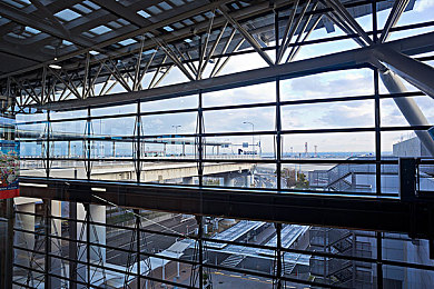 one一个成年的世界一个就够老杀版本：废土孤车，生存与道德的终极公路试炼-3