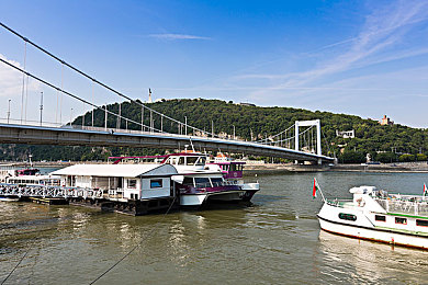 涉黄APP下载:都市极速线争议升级,合规改装与竞速乐趣全攻略-3