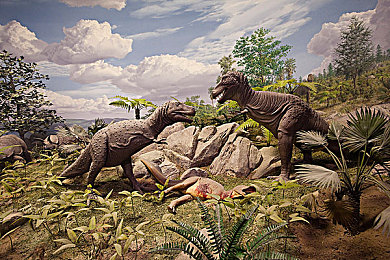 男生和女生差差差：竞速宇宙的双生引擎，拟真与幻想的方向盘抉择-2