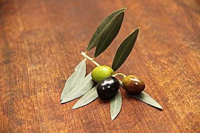 黄色APP免费下载3.0：复古赛车新作动态天气上线，深度改装与隐藏赛道揭秘-3