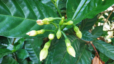 男GayGays 小鲜肉：虚拟偶像极速狂飙，双重养成引爆赛车新体验