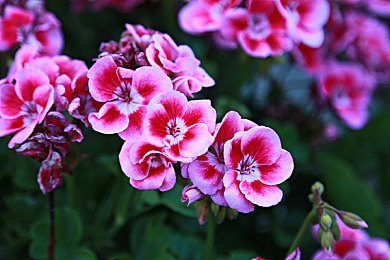 机机对机手机2023免费版下载安装安卓：未来赛车竞技新体验，自定义改装与实时对战引爆狂飙热潮