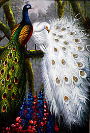 国语成人av：霓虹港街头争霸，深度改装与夜色冒险之旅-3