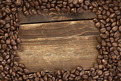 LGBT黄网:极限竞速地平线5,自由改装与多元表达的数字舞台-2