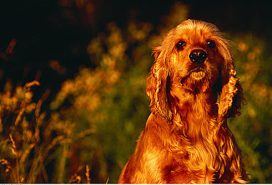 国精产品乱码一区一区三区四：解码赛道之谜，掌握极速狂飙高阶竞速艺术-4