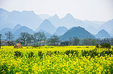 打屁股 网站：征服墨西哥弯道，在极限竞速地平线5中体验痛并快乐的驾驶惩罚