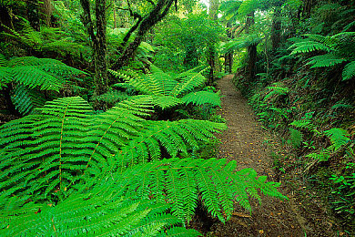 404网黄:霓虹城数据迷雾中,追逐金色幽灵跑车的终极冒险-2