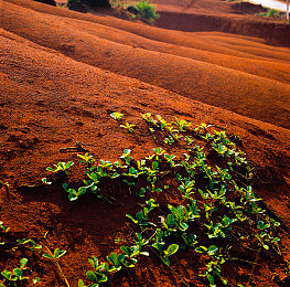 密桃aⅤ：霓虹交响，感官竞速，未来都市赛道掀起视听革命-4