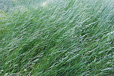 AV电影国产：引擎轰鸣中铸就国产工业传奇，亲历从图纸到赛道的技术征程-2